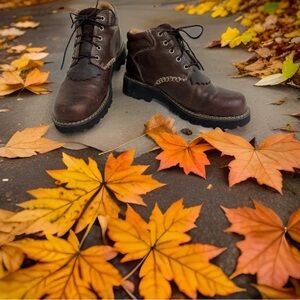 Ariat Women's Canyon Lace Up Brown Leather Western Work Boots